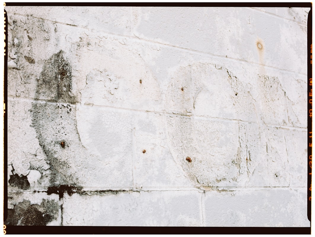 Structural Drying service in Livermore, CA