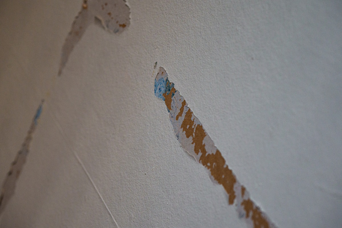 Water Extraction service in Livermore, CA
